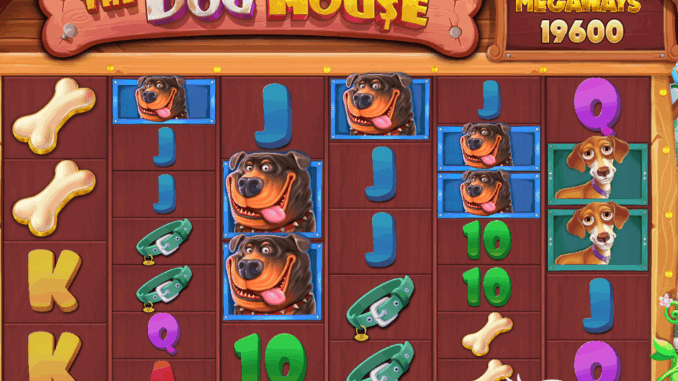 The Dog House Megaways Havlamaya Hazır mısın?